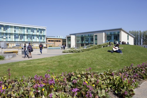 The new building and grounds