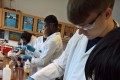 Aspirin Synthesis Workshop - Determining the Purity of Aspirin by Colourimetry