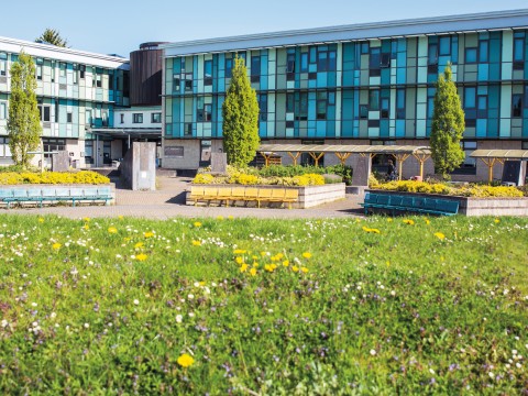 Terms of Reference Governors' Committees